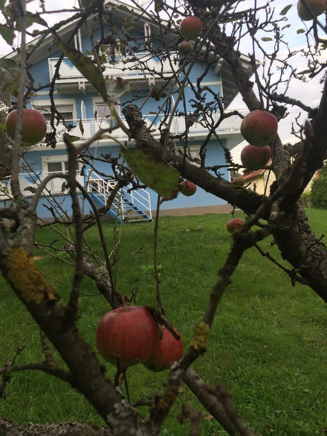 Pension Lipusch Sankt Veit im Jauntal Bagian luar foto